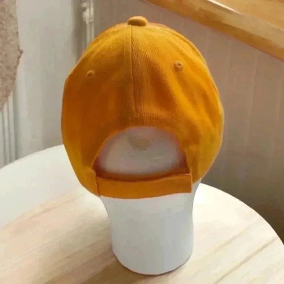 Pittsburgh Steelers Urban Rapper Gold Strapback baseball cap.  #NFLSteelers - Picture 3 of 5